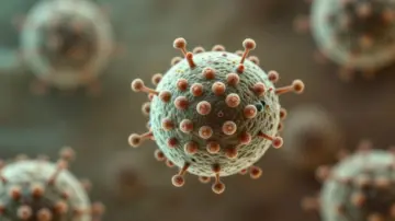 Rising Cyclosporiasis Outbreak: What You Need to Know About the Parasitic Infection