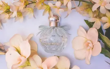 ما الذي تحتويه زجاجة العطر حقًا: حركة النفحات العليا والوسطى والقاعدية